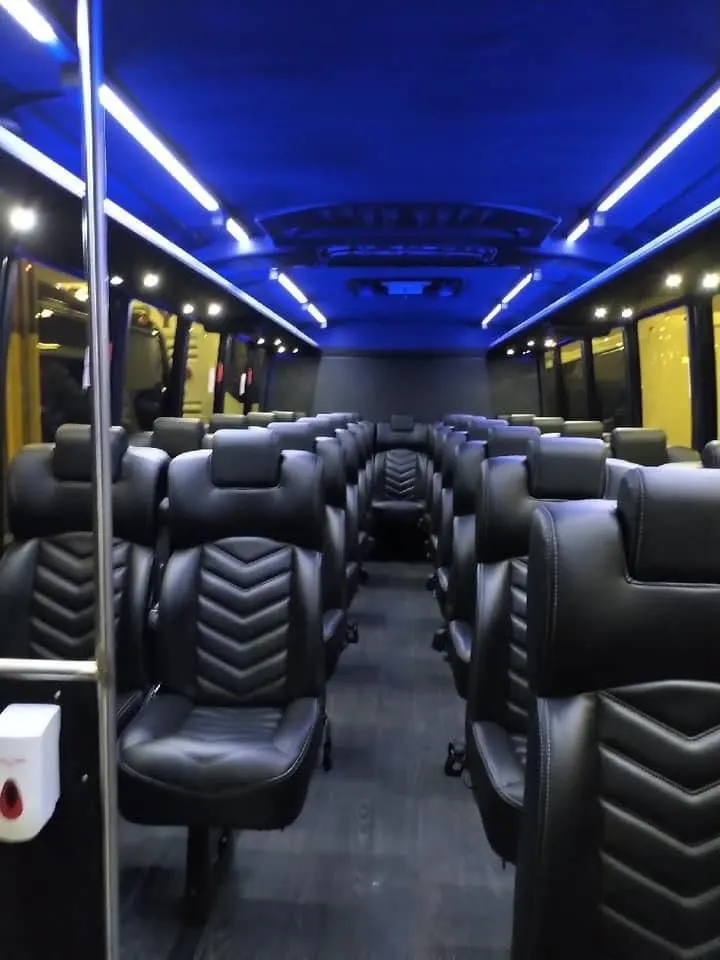 27 seater - VIP Bus Inside
