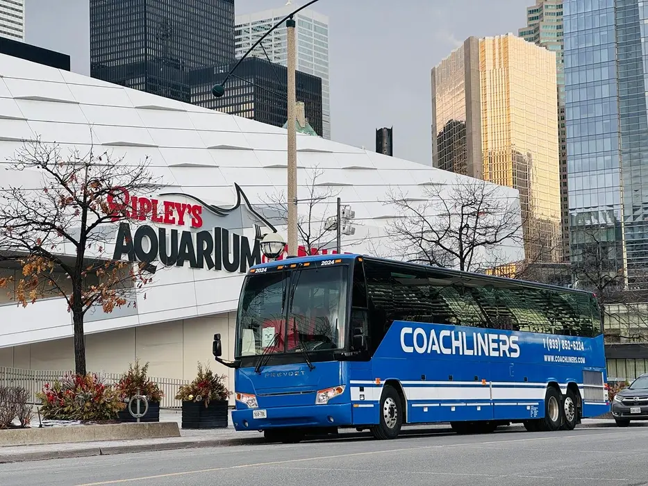 Coach 10